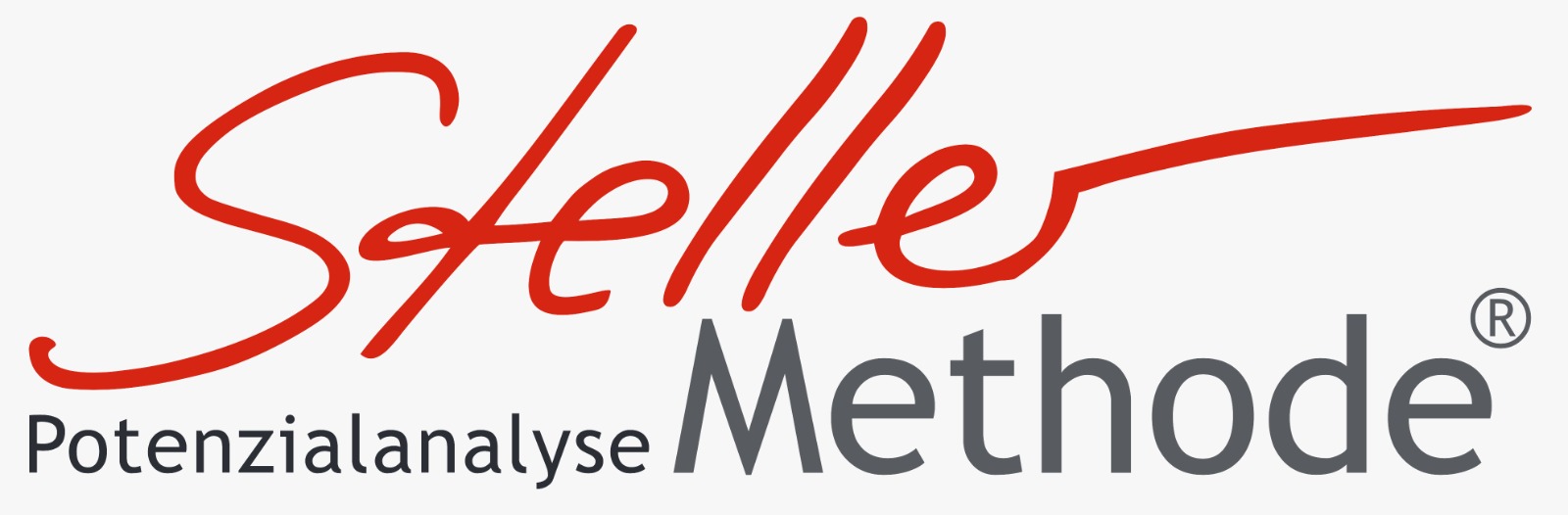 Logo StellerMethode, Potenzialanalyse